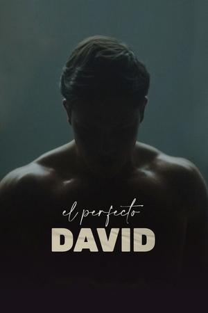 Poster El perfecto David 2021