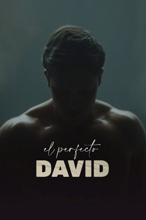 Image El perfecto David