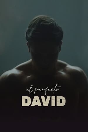 Poster El perfecto David 2021