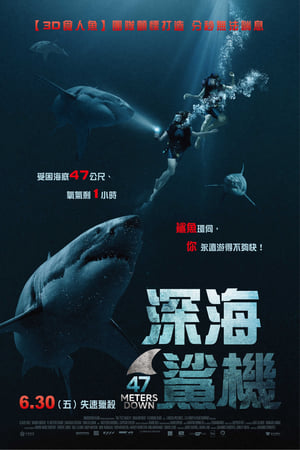 Poster 鲨海 2017