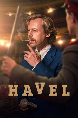 Poster Havel 2020