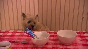 Episode 23
