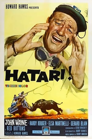 Poster di Hatari!