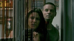 Splinter ( 2008 )