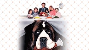 ดูหนัง Beethoven (1992) บีโธเฟน ชื่อหมาแต่ไม่ใช่หมา