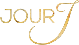 La wedding planner — Logos 1