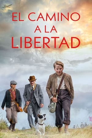 VER El Camino a La Libertad (2022) Online Gratis HD