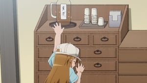 Hataraku Saibou: 1×11