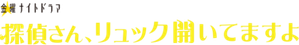 探偵さん、リュック開いてますよ — Logos 2