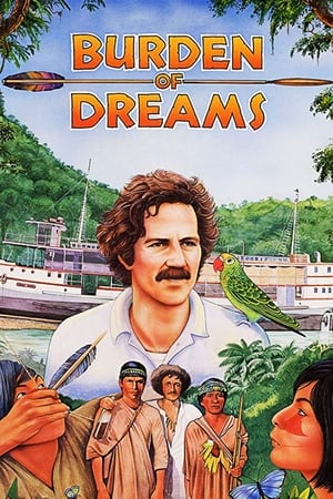 Poster 电影梦 1982