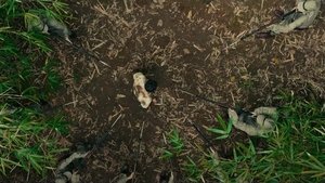 Prisoner Of War (2025)