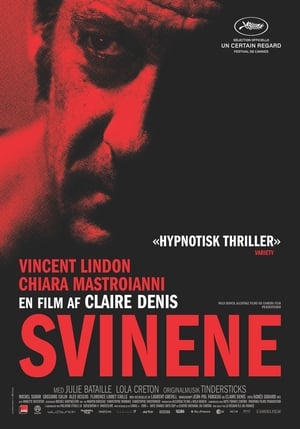 Poster Svinene 2013