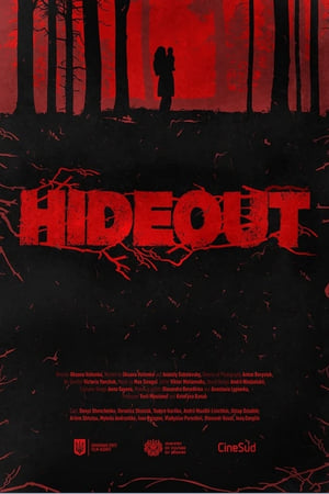 Poster Hideout (2020)