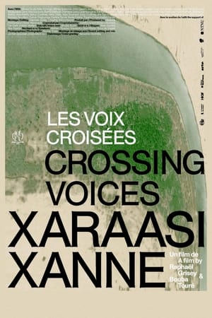 Poster Crossing Voices (2022)