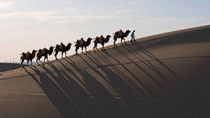 Ancient Powers: 1×3