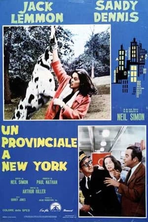 Poster Un provinciale a New York 1970