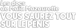 Vous saurez tout sur le pénis