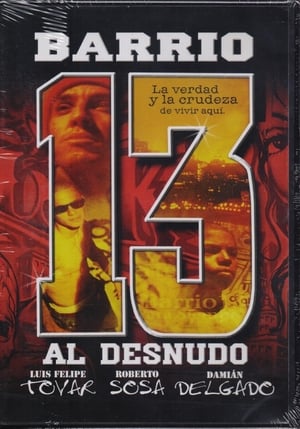 Poster Barrio 13 2000