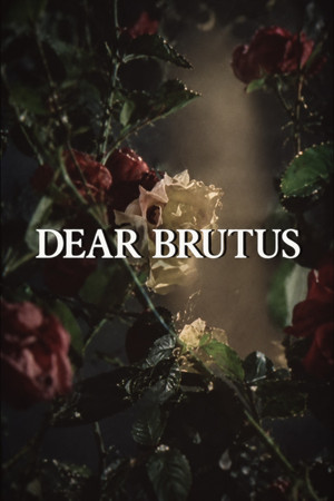 Dear Brutus
