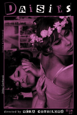 Daisies 106