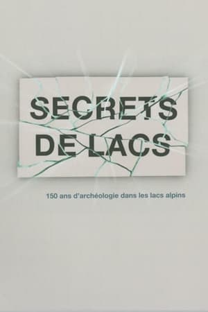 Poster Secrets de lac (2006)