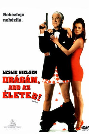 Spy Hard 55