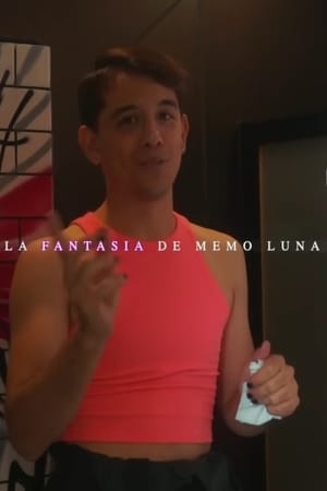Poster La Fantasía de Memo Luna (2019)