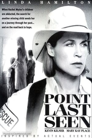 Point Last Seen poster