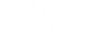 La Narcosatánica — Logos 3