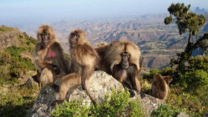 Le royaume des nuages