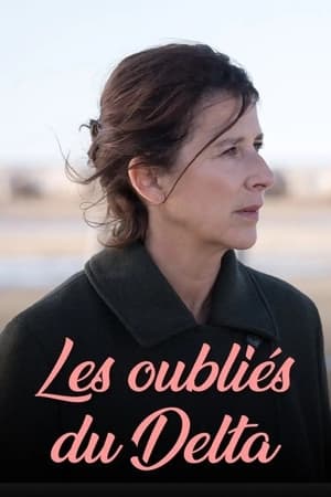 Poster Les oubliés du Delta (2024)