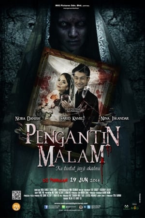 Poster Pengantin Malam (2014)