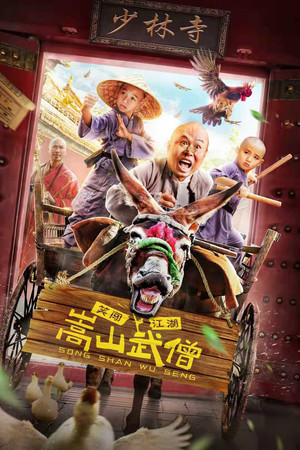 嵩山武僧封面图