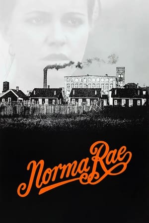 Poster di Norma Rae