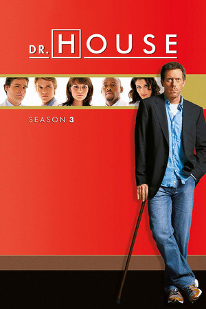 Dr. House: Staffel 3