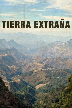 Poster Tierra extraña (2001)