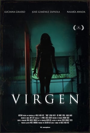 Poster Virgin (2017)