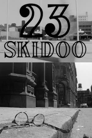 Poster 23 Skidoo 1964