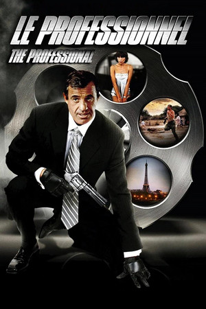 The Professional 29