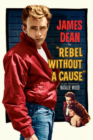 Rebel Without a Cause cover