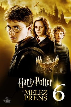 Poster Harry Potter ve Melez Prens 2009