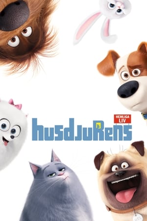 Husdjurens hemliga liv (2016)