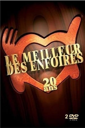 Les Enfoirés - Le meilleur des Enfoirés 20 ans