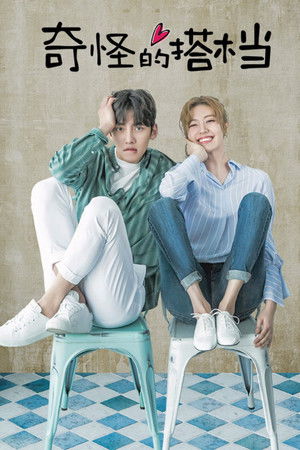 Image 奇怪的搭档