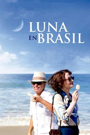 Poster Luna en Brasil 2013