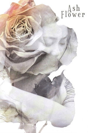 Ash Flower 20