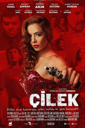 Poster Çilek 2014