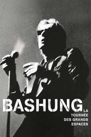 Poster Bashung, Alain - La tournée des grands espaces 2003