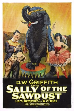 Poster Sally of the Sawdust (1925)