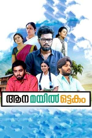 Poster ആന മയില്‍ ഒട്ടകം 2015